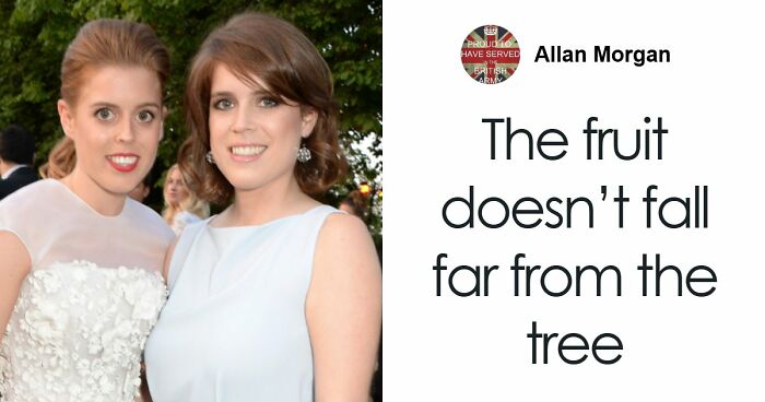 50 Curious Facts People Learned By Accident And Can’t Stop Thinking About (New Pics)