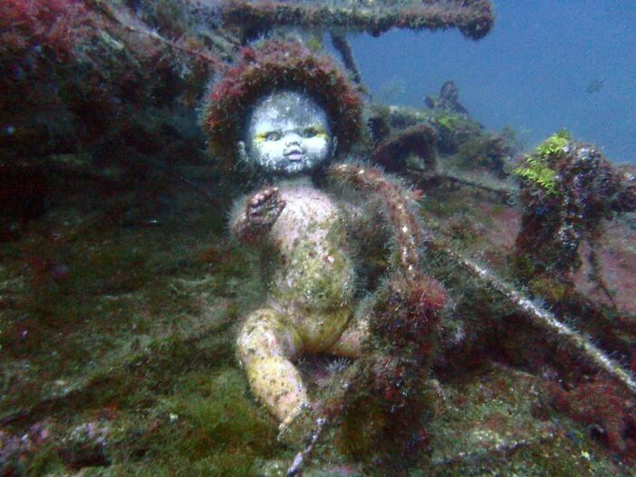 Underwater eerie doll covered in algae and marine growth in an unexpected ocean photo that might freak you out.