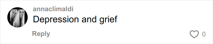 Comment on Instagram post saying Depression and grief by user annaclimaldi with a black and white profile photo of two women.