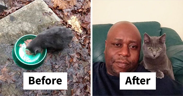 This Man In Alabama Rescued A Kitten Named Henry, And It Sparked A Massive Rescue Effort