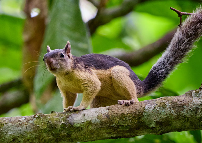 “Don't Be Dumb”: 57 Divorce Lawyers Share The Messiest Cases Of Their Careers