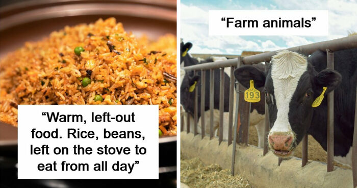 Beware Of These 39 Seemingly Harmless Things – They’re A Lot More Lethal Than You Might Think