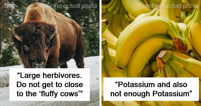 39 Possibly Life-Threatening Things And Activities Whose Severity You’ve Likely Minimized