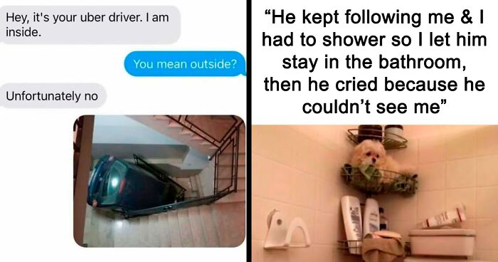 If Everything Is Annoying You Right Now, These 53 Memes Might Help Lighten Your Mood