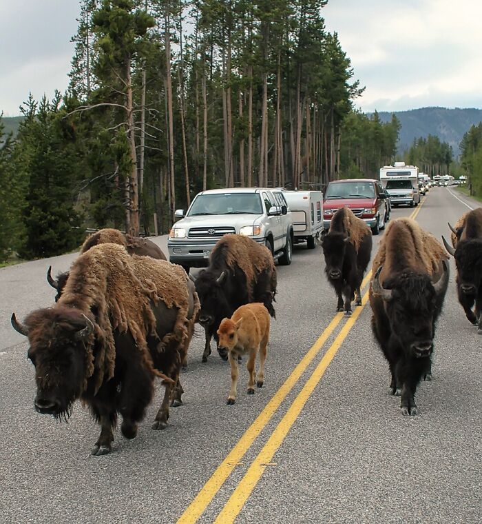 65 Times People Saw Karma Do Its Job In The Most Satisfying Ways