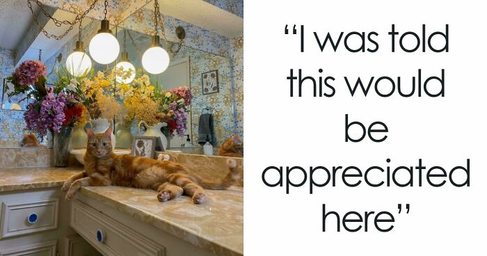 131 Times People Embraced ‘More Is More’ And Decked Out Their Homes (New Pics)