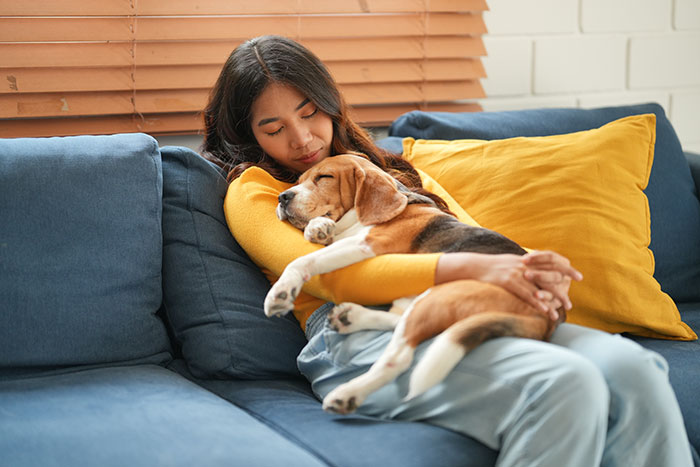 Woman cuddling her dog on a blue sofa, highlighting a story about a dog found at the shelter after being given up.
