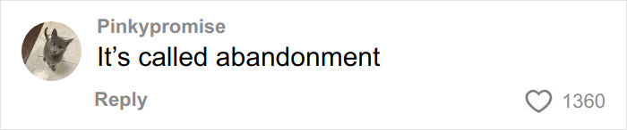 Comment stating it&rsquo;s called abandonment by user Pinkypromise with 1360 likes on a social media post.