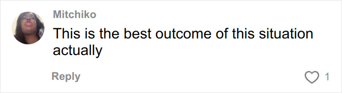 Comment from Mitchiko expressing that this is the best outcome of the situation related to mom who vanished 25 years ago.