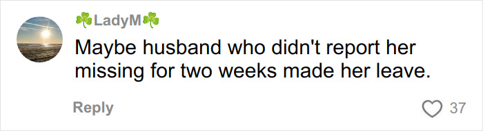 Comment from LadyM speculating husband&rsquo;s role in mom who vanished 25 years ago just days after family&rsquo;s discovery arrest.
