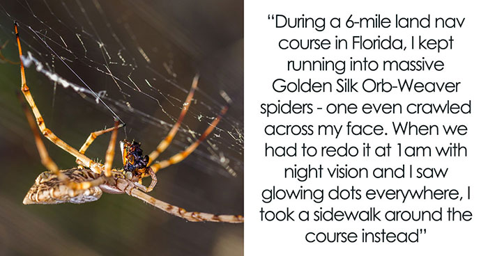 40 Brutal Wake-Up Calls That Made People Remove Themselves From A Nasty Situation Immediately - 35