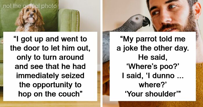 68 People Share Surprising Displays Of Intelligence They’ve Seen In Their Pets