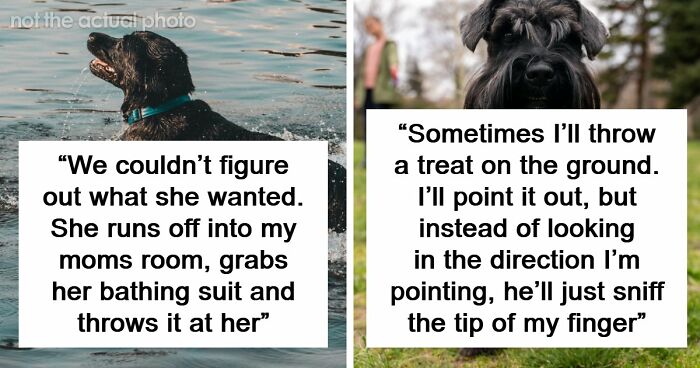 68 People Share Surprising Displays Of Intelligence They’ve Seen In Their Pets