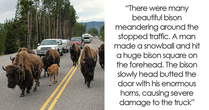 65 Times People Saw Karma Do Its Job In The Most Satisfying Ways