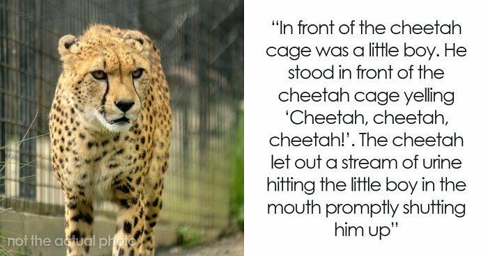 65 Times People Saw Karma Do Its Job In The Most Satisfying Ways