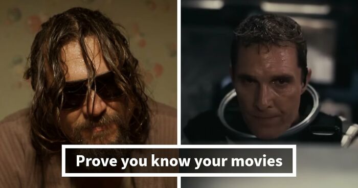 “Is Forrest Gump Actually An A-Hole?”: Guess The 26 Popular Films From AITA Descriptions