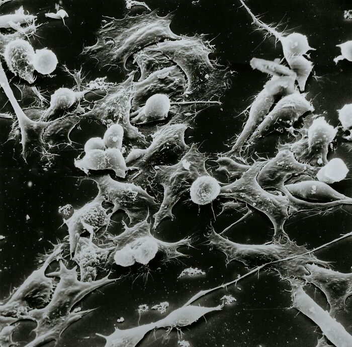 48 Things That Almost Everyone Does That Are Really Dangerous