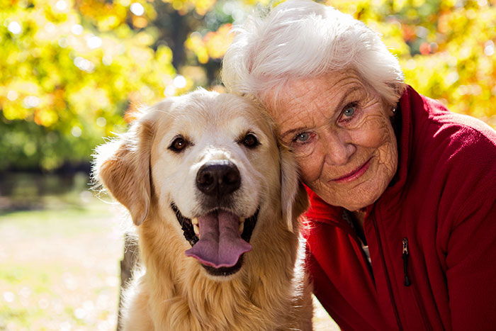 Elderly woman smiling with a golden retriever outdoors, illustrating neighbor dog walking pay challenges in deserts.
