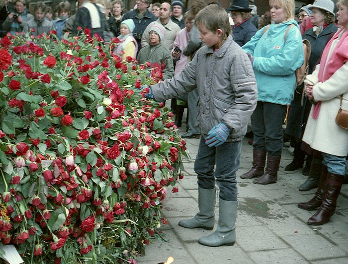 Young boy placing a rose on a large memorial of red flowers surrounded by a crowd in a powerful photo from around the world.