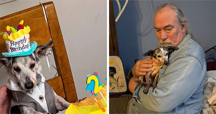 This 25-Year-Old Rescue Dog Is Spending His Golden Years Helping Senior Shelter Pets