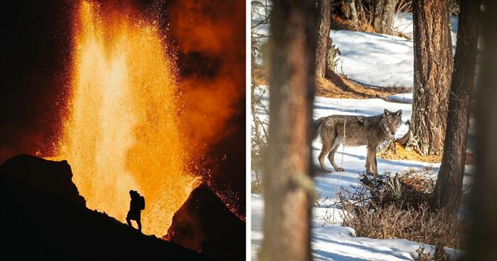 80 Unique Photos That People Get To Take Only Once In A Lifetime