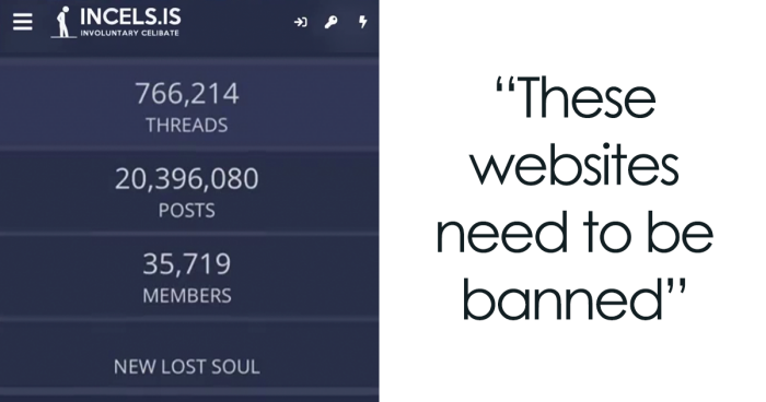 Woman Shows What Incels Talk About Online, Posts Leave Viewers Stunned