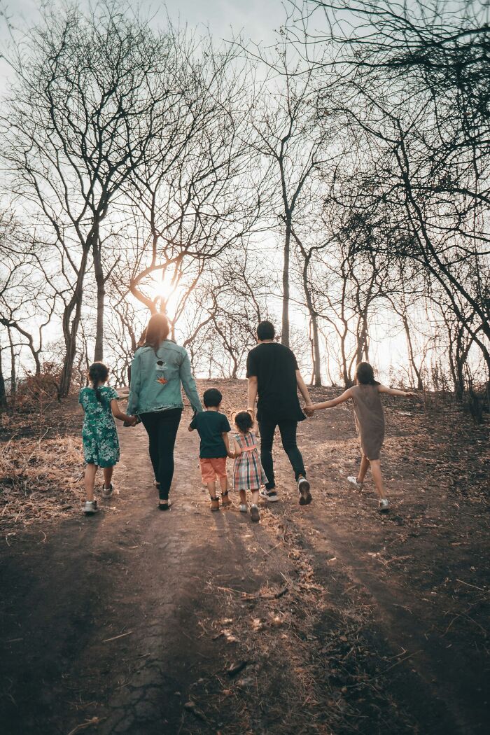 Family of six walking hand in hand through a forest with bare trees at sunset, illustrating people silently judge others.