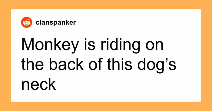 32 Outlandish Public Moments That Turned People-Watching Into Free Comedy