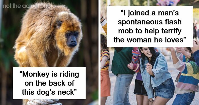 32 Outlandish Public Moments That Turned People-Watching Into Free Comedy