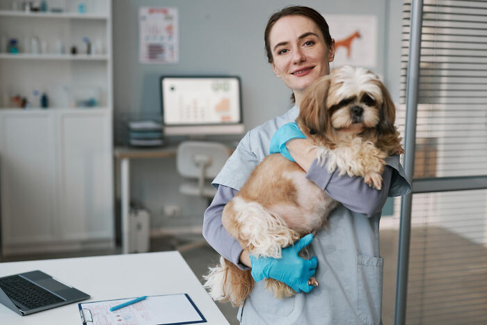Woman in scrubs holding a small dog in a veterinary office showing surprisingly petty things people secretly judge.