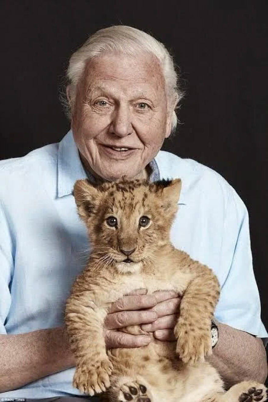 Elderly man holding a lion cub, portrait with dark background, representing admired gigachads in their countries.