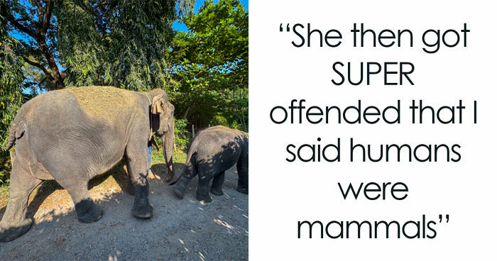 “Oh God, This Person’s An Idiot”: 80 Moments When People Realized A Person Was Dumb