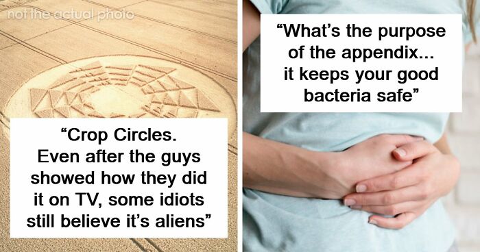67 Mysteries That Have Sent Many People Down The Rabbit Hole Until They Were Finally Cracked
