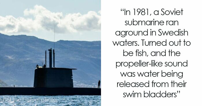 67 Mysteries That Have Sent Many People Down The Rabbit Hole Until They Were Finally Cracked