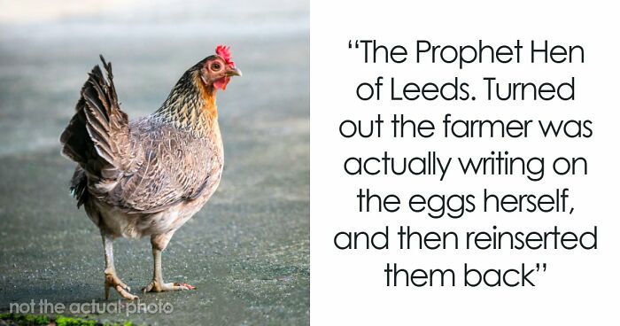 67 Mysteries That Have Sent Many People Down The Rabbit Hole Until They Were Finally Cracked