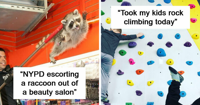 47 Times People Tried To Take A Photo And Ended Up With A Way Better Pic Than They Expected