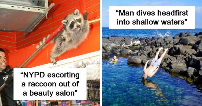 47 Times People Tried To Take A Photo And Ended Up With A Way Better Pic Than They Expected