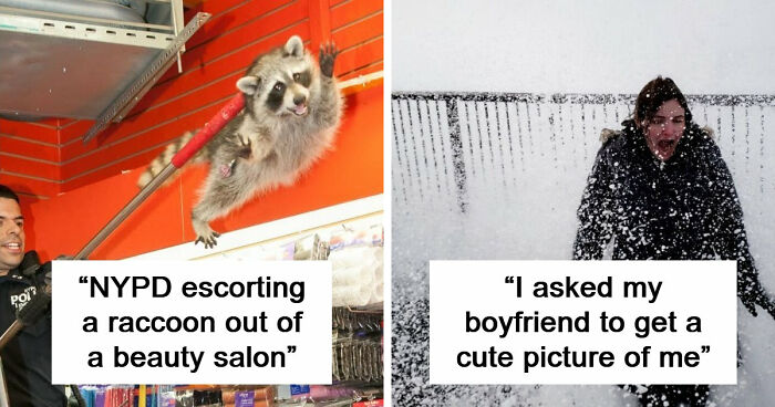 47 Times People Tried To Take A Photo And Ended Up With A Way Better Pic Than They Expected