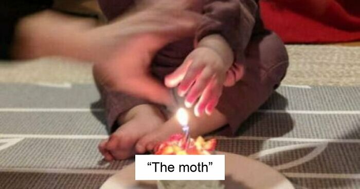 47 Times People Tried To Take A Photo And Ended Up With A Way Better Pic Than They Expected