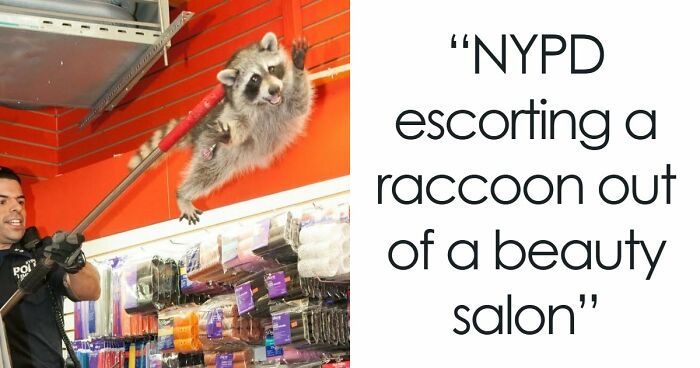 47 Times People Tried To Take A Photo And Ended Up With A Way Better Pic Than They Expected