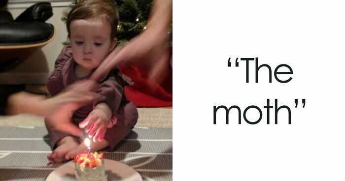 47 Times People Tried To Take A Photo And Ended Up With A Way Better Pic Than They Expected