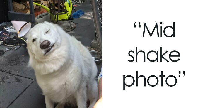 47 Times People Tried To Take A Photo And Ended Up With A Way Better Pic Than They Expected