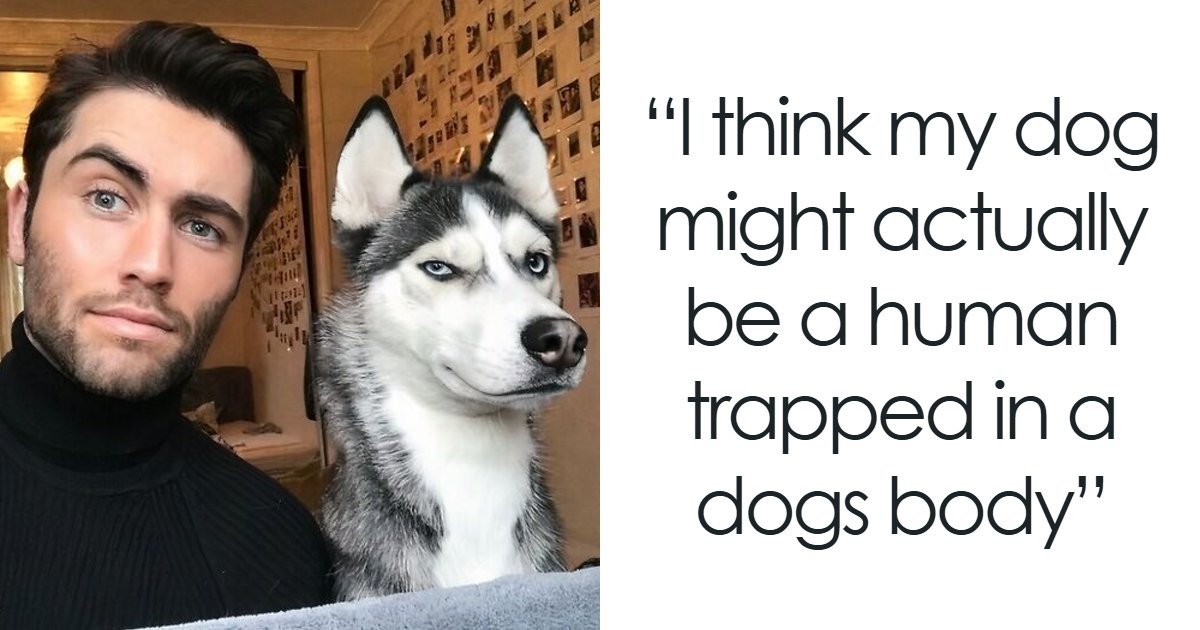 59 People Share Pics Of Themselves And Their Pets And They're Just Too Similar