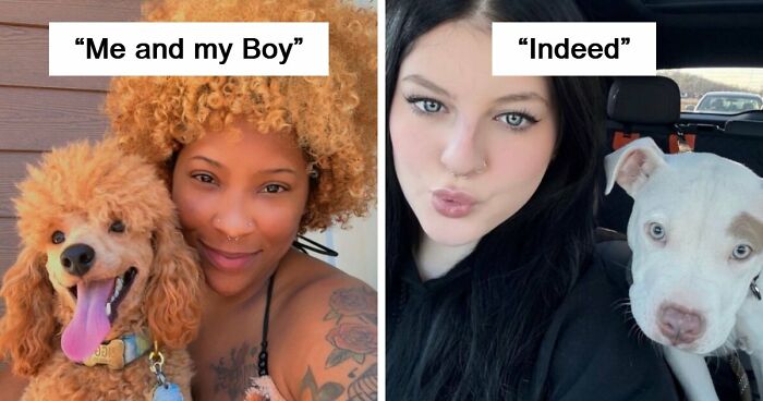 59 Examples That Prove Pets Look Like Their Owners