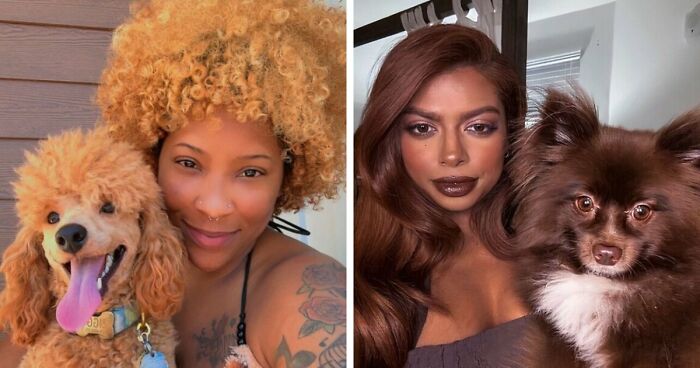 59 Examples That Prove Pets Look Like Their Owners