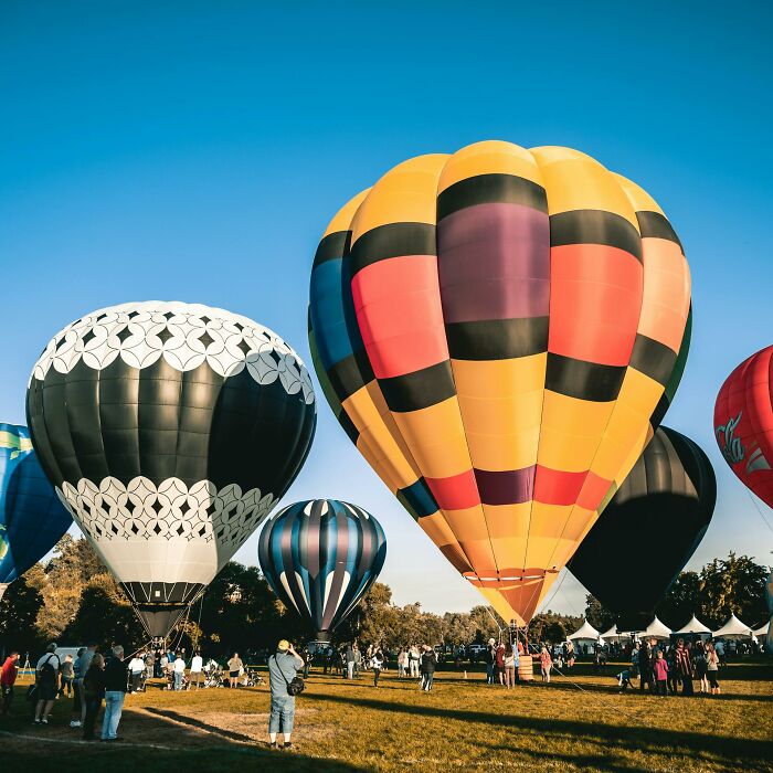 Hot air balloons preparing for flight in a scenic field, illustrating contrast in peaceful summer matches and Olympic sports.