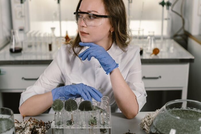 Female scientist in lab coat and gloves examining plant samples in test tubes for new facts discovery in laboratory setting