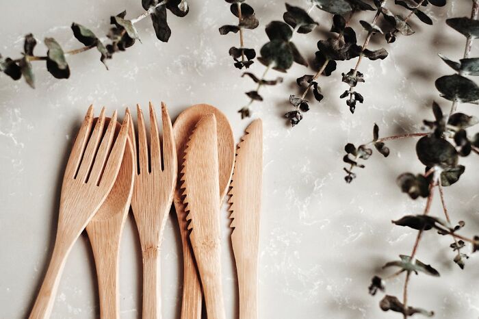 Wooden forks and knives arranged on a marble surface with eucalyptus branches, symbolizing harmless conspiracy theories.