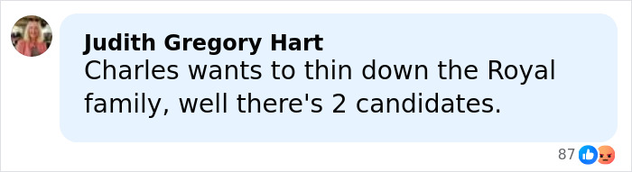 Comment by Judith Gregory Hart discussing the Royal family and candidates amid Jeffrey Epstein's bold request revelations.