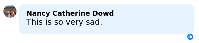 Comment by Nancy Catherine Dowd expressing sadness about FBI revealing chilling details of ransom note for Savannah Guthrie's mom.